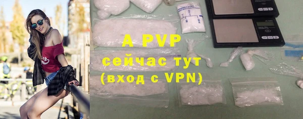 прущие грибы Лабытнанги