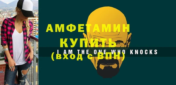 гидра Кулебаки