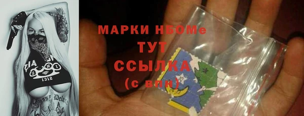 прущие грибы Лабытнанги