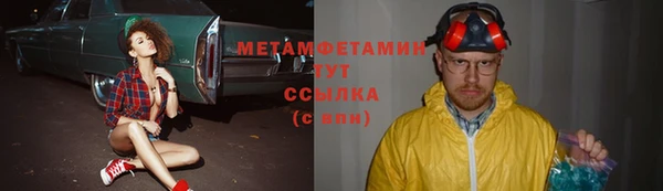 прущие грибы Лабытнанги