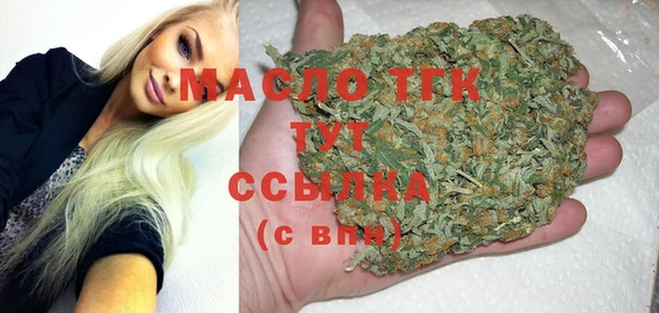 прущие грибы Лабытнанги