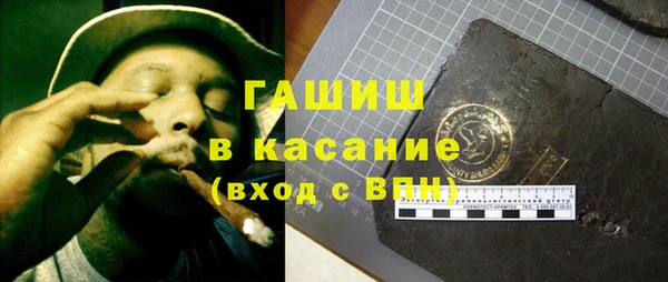 прущие грибы Лабытнанги
