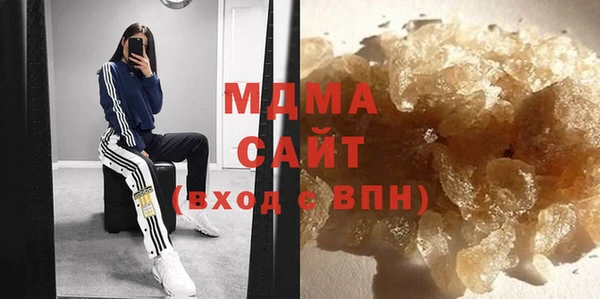 прущие грибы Лабытнанги