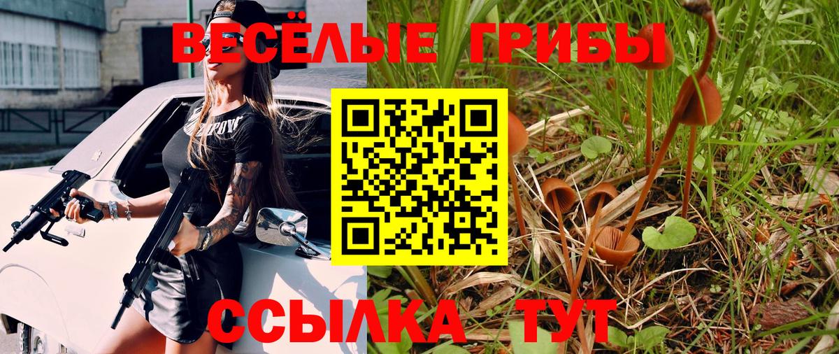 Галлюциногенные грибы мицелий Луховицы