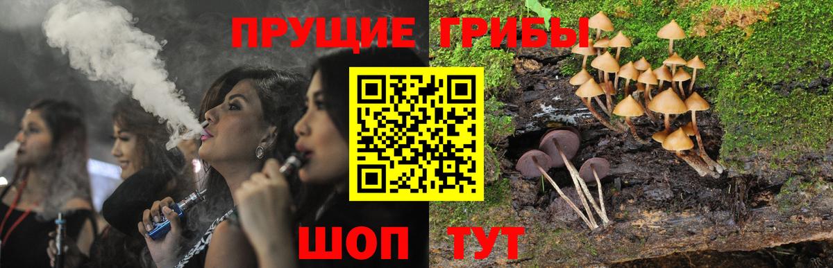 Галлюциногенные грибы Psilocybine cubensis  Галлюциногенные грибы ЛСД  Вход с VPN  Луховицы 
